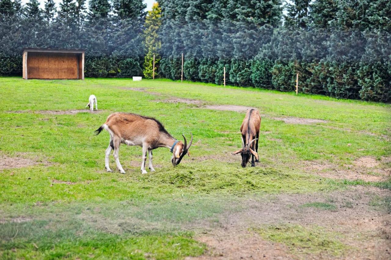 Farma Serock Eksteriør billede